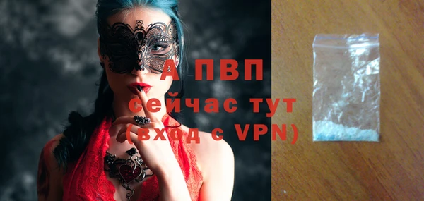 сатива Баксан